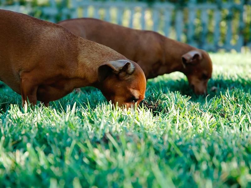 sudoku cognitive game screenshot 2